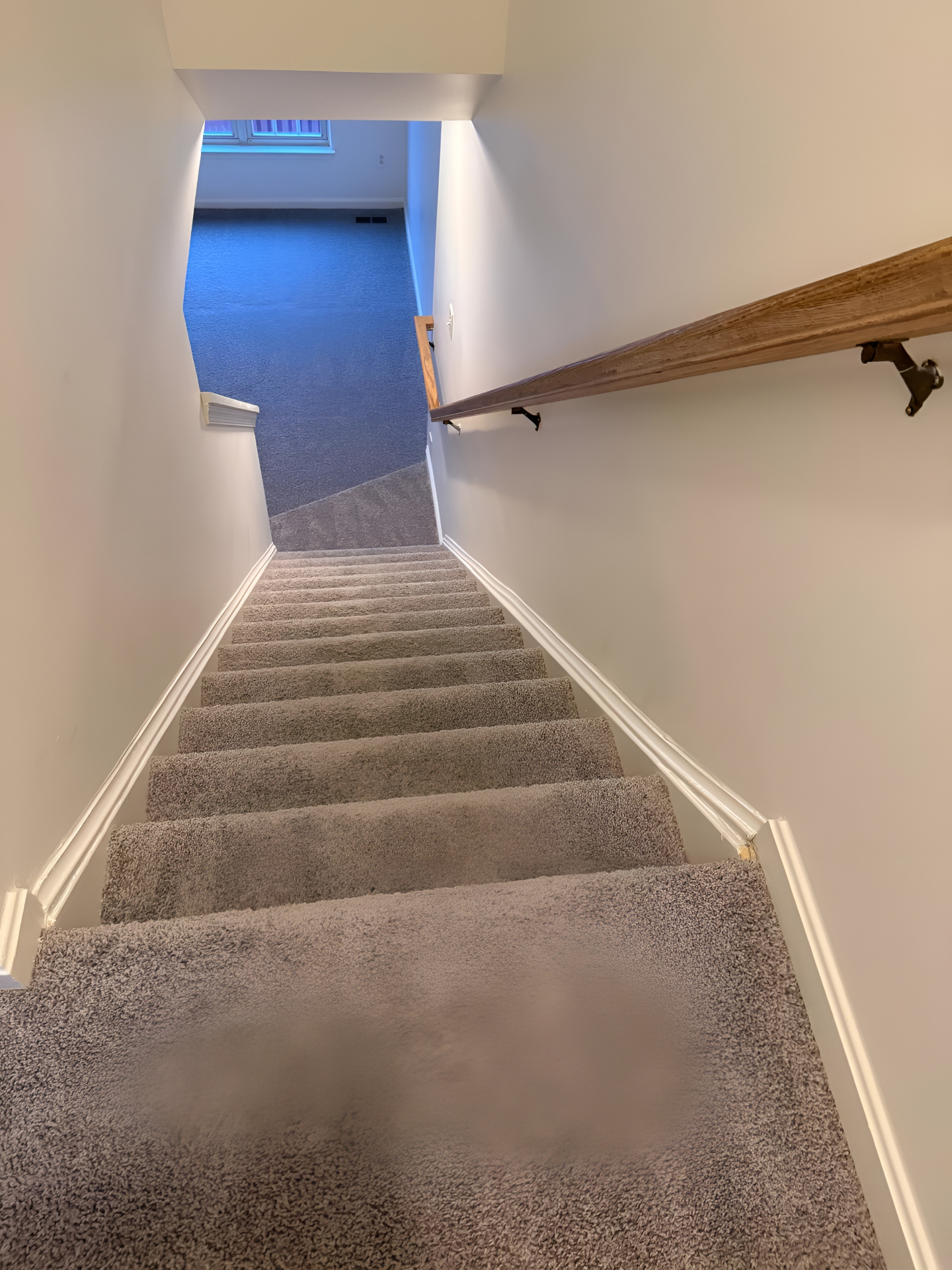 Carpet Cleaning in McLean, VA